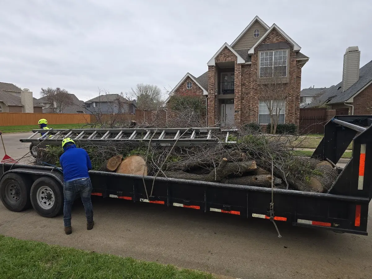 Expert Tree Pest Control with proper safety equipment in Nashville
